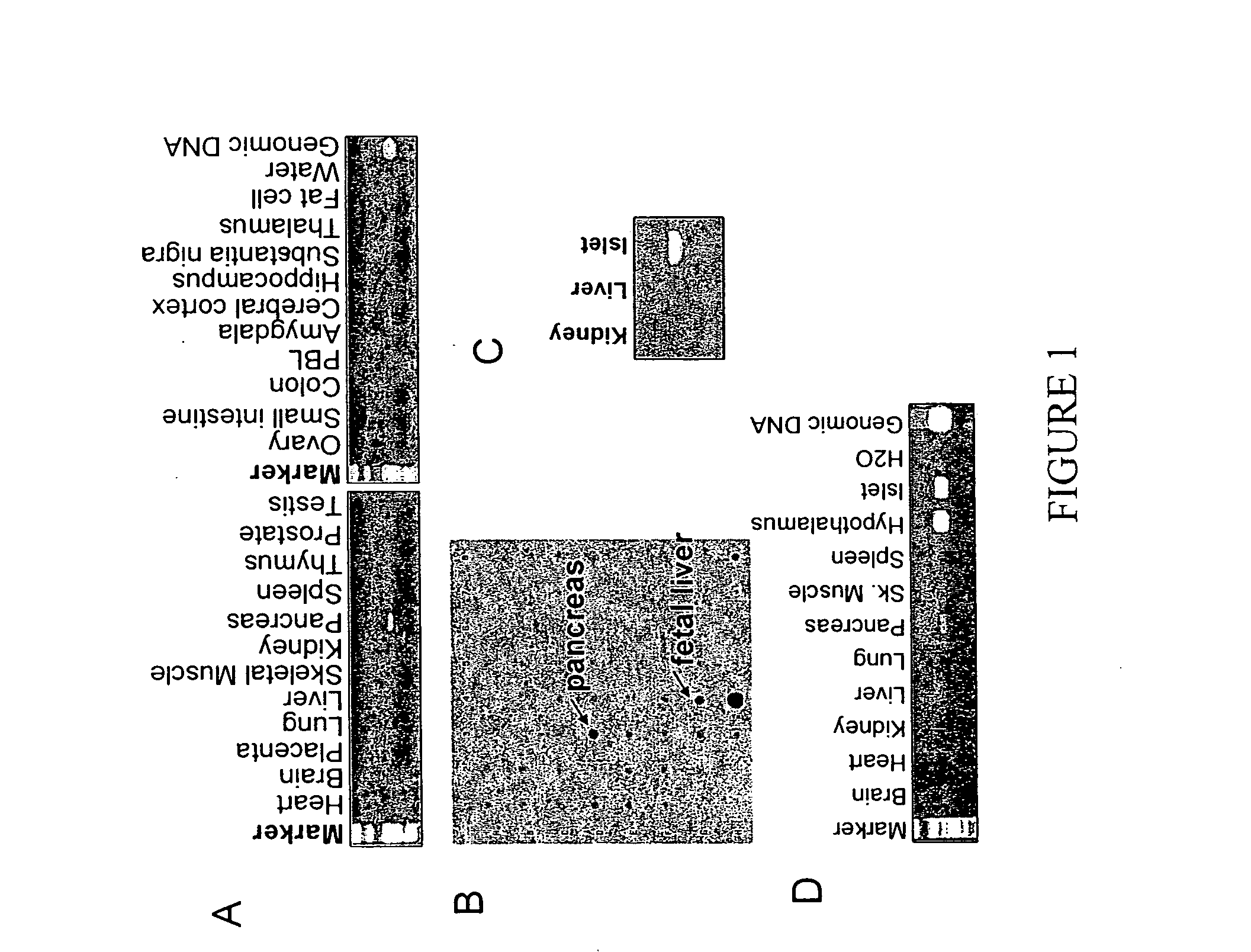 Fused-aryl and heteroaryl derivatives as modulators of metabolism and the prophylaxis and treatment of disorders related thereto