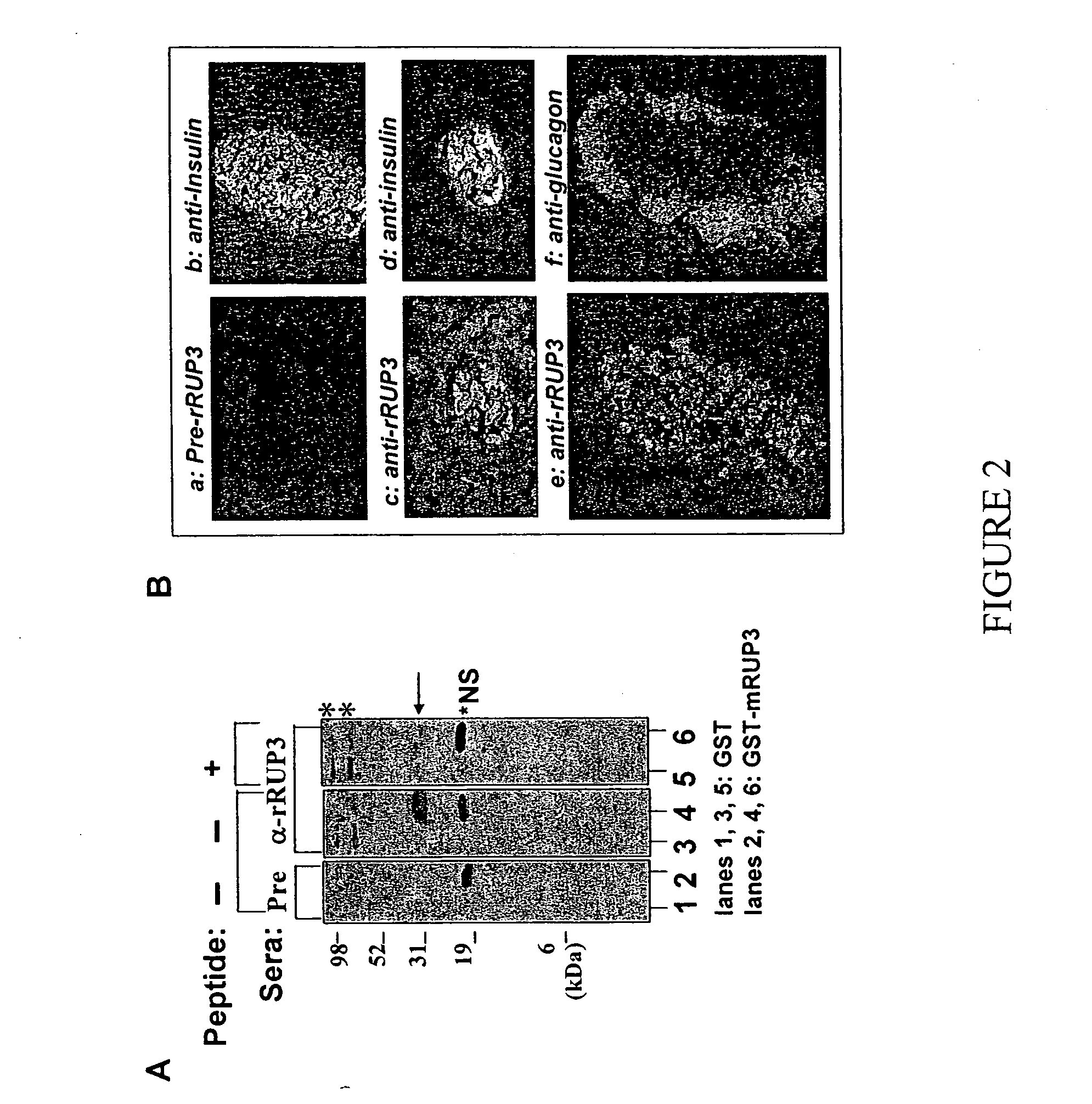 Fused-aryl and heteroaryl derivatives as modulators of metabolism and the prophylaxis and treatment of disorders related thereto