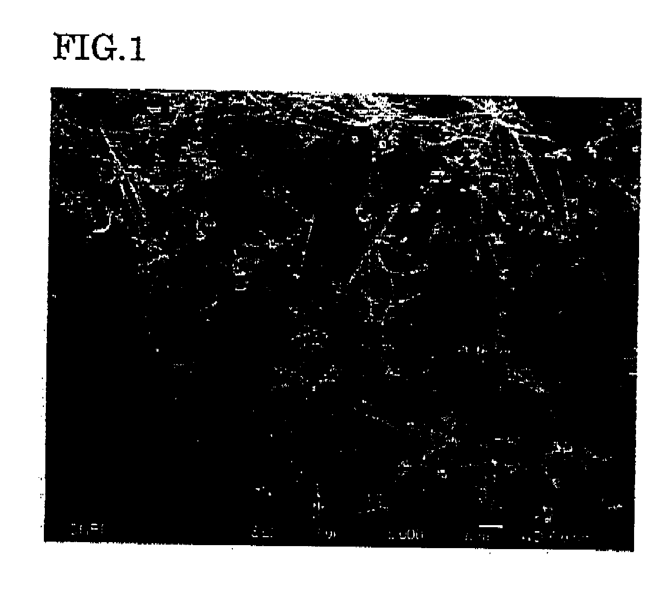 Electromagnetic wave absorber