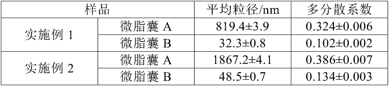 Liposome structure for achieving skin cleaning and anti-aging, composition and preparation method