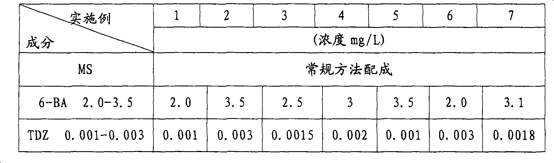 Matted bamboo tip tissue culture medium and tissue culture and rapid propagation method