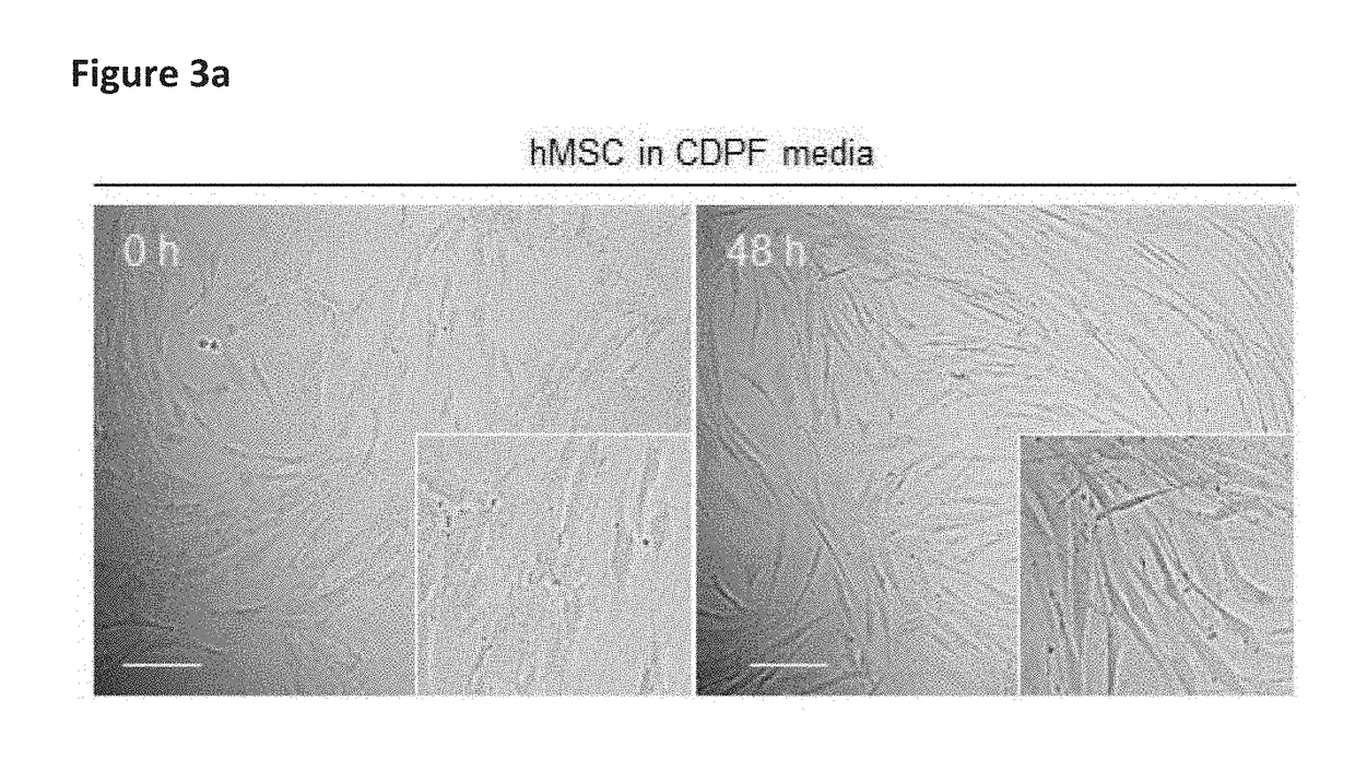 Scalable production of standardized extracellular vesicles, extracellular vesicle preparations and uses thereof