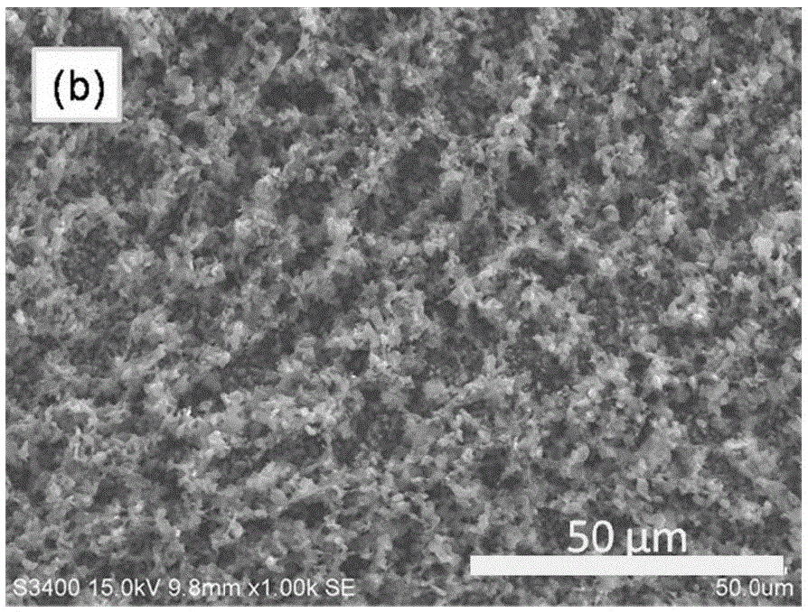 Sodium battery comprising asymmetric modification layer and preparation method thereof