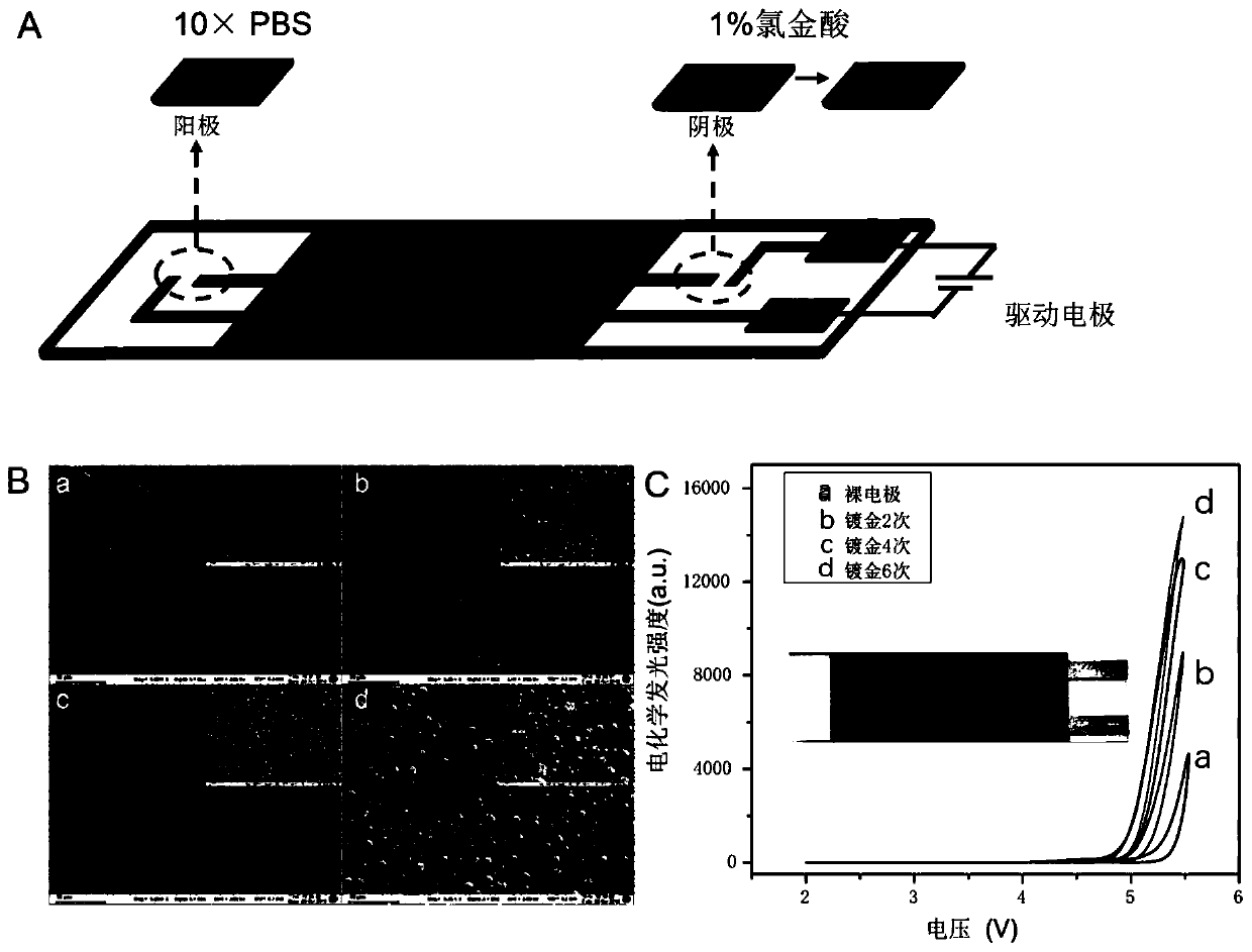 Method for detecting aflatoxin B1 based on visual BPE-ECL technology