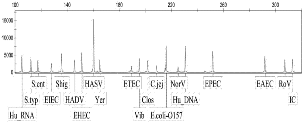 Diarrhea-related virus multi-gene detection system, and kit and application thereof