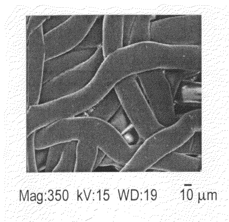 Mineralized guided bone regeneration membranes and methods of making the same