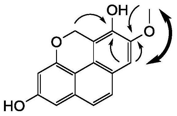 Novel phenanthrene compound separated from Pholidota chinensis Lindl, preparation method and application thereof