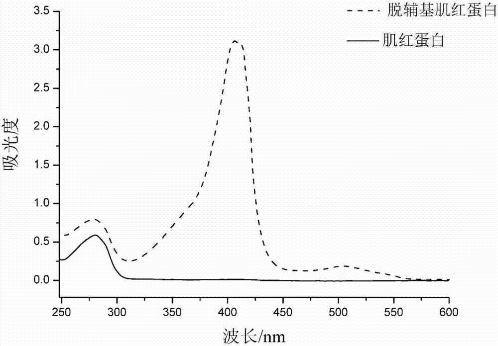 Method for detecting conformational changes of proteins by mass spectrometry technology