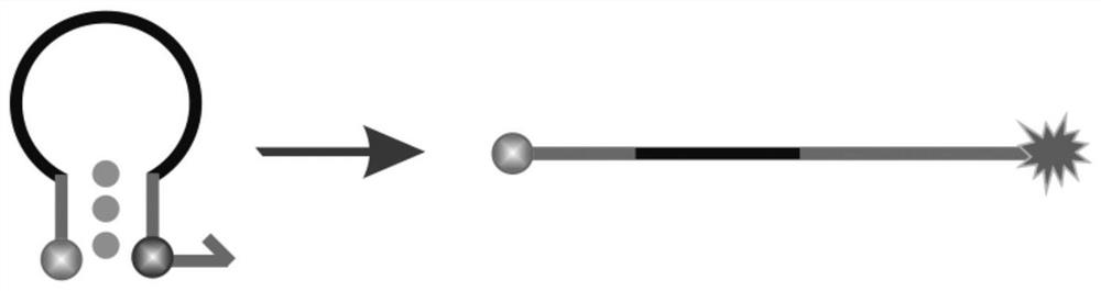 Application of a multi-target gene parallel detection combination probe and its kit