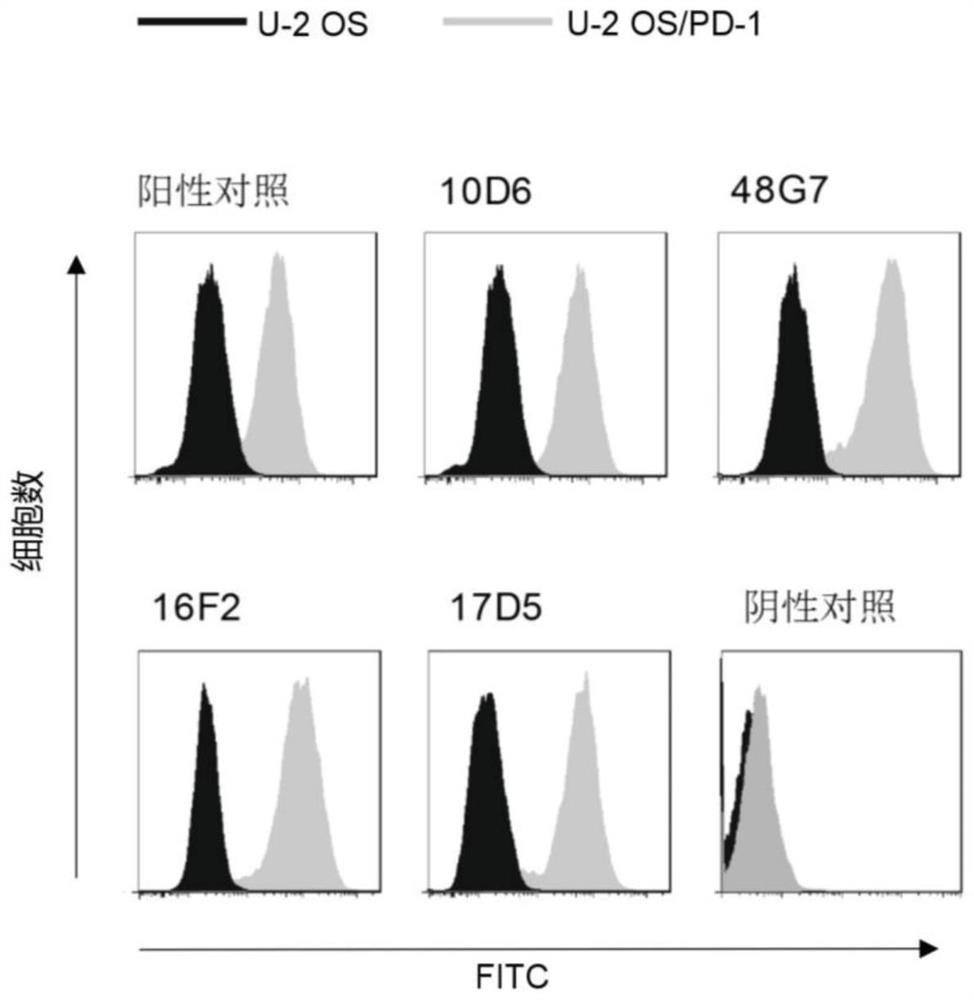 Anti-PD-1 antibody and application thereof