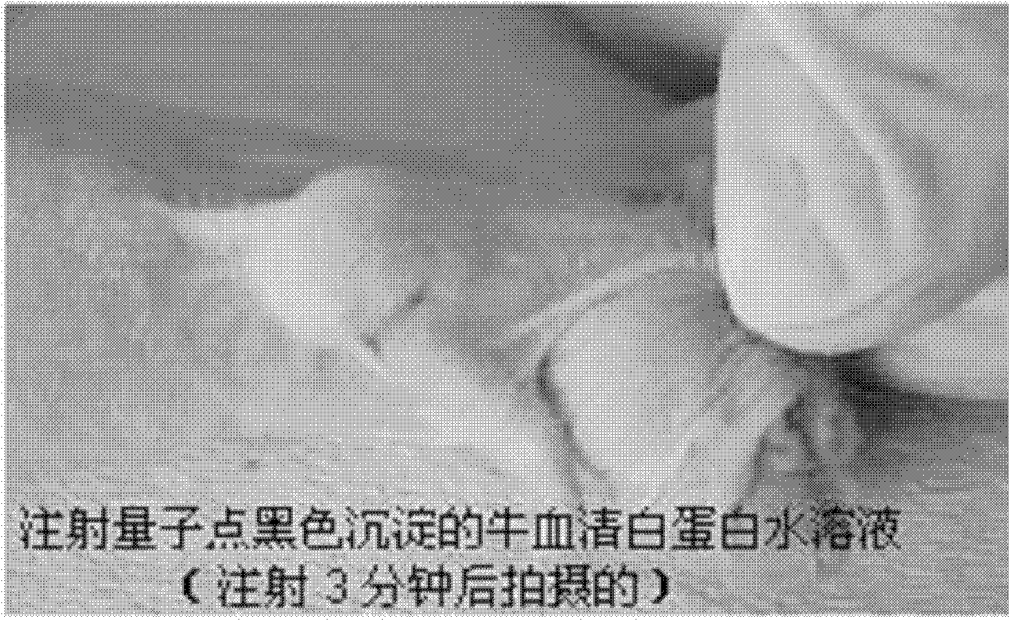 Quantum dot iodized oil dispersion and preparation method and use thereof