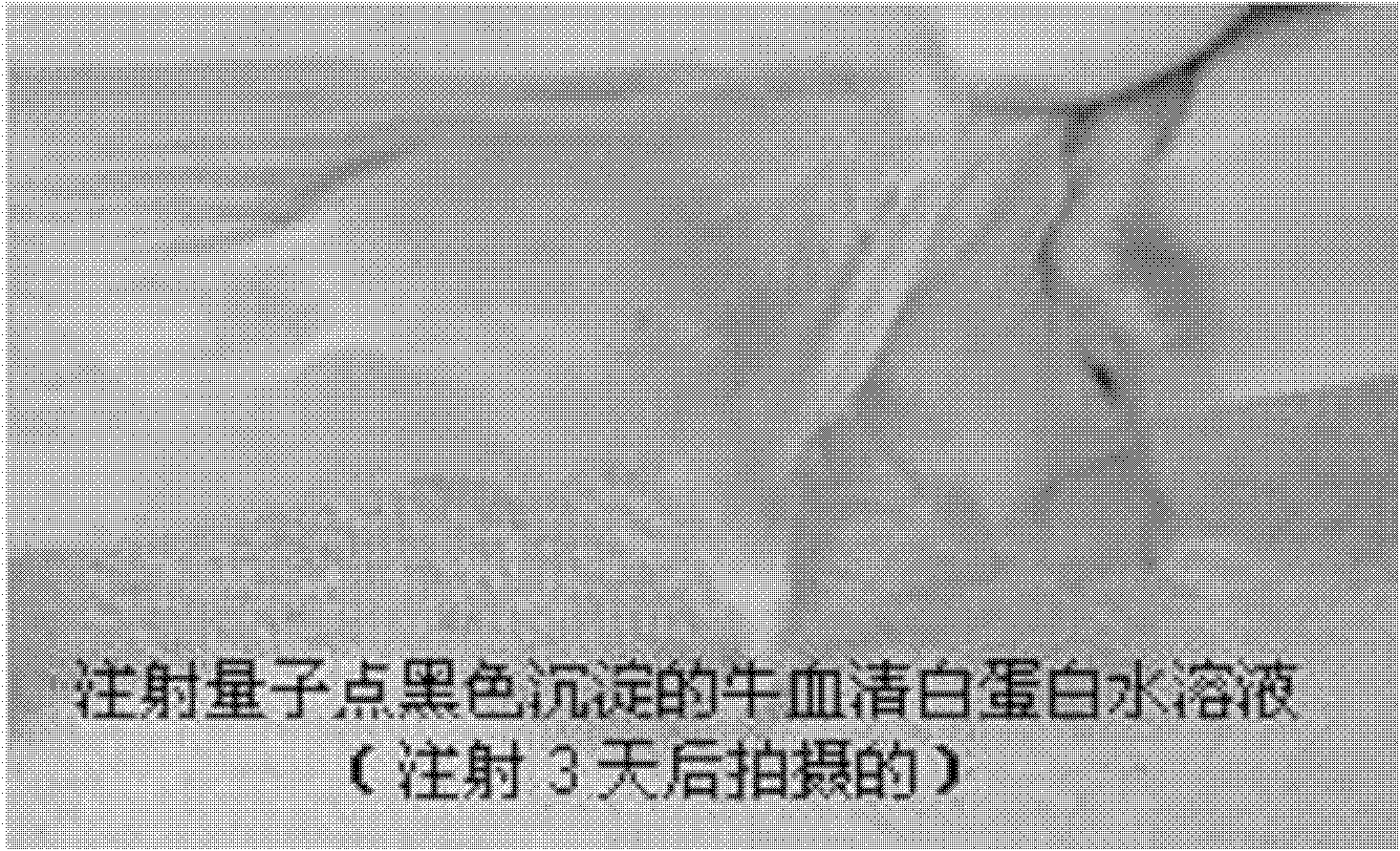 Quantum dot iodized oil dispersion and preparation method and use thereof