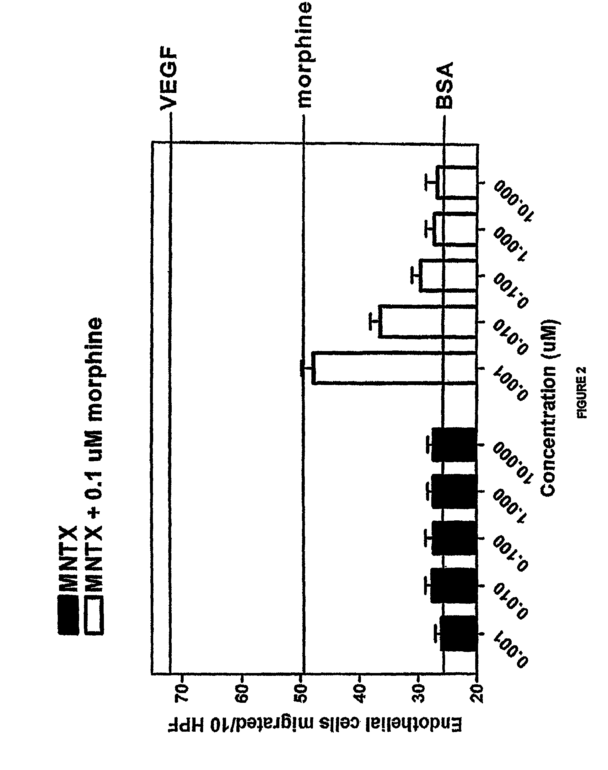 Use of opioid antagonists to attenuate endothelial cell proliferation and migration