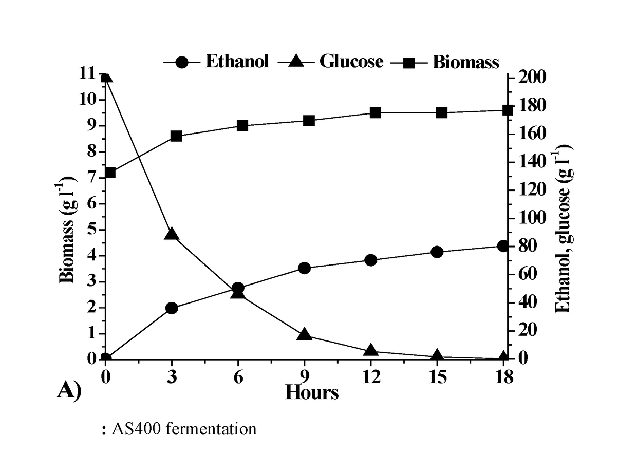 Methods for the positive selection of ethanol overproducing mutants from saccharomyces cerevisiae