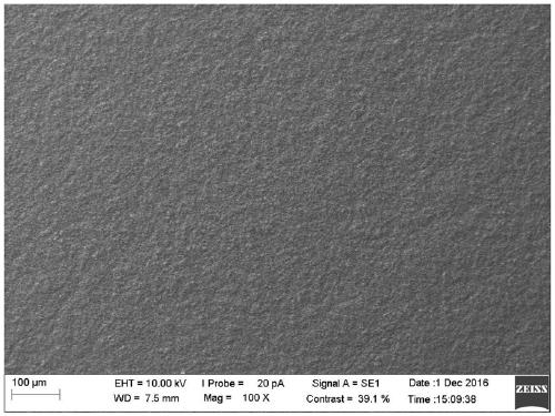 Lithium iron phosphate composite positive electrode sheet and preparation method thereof