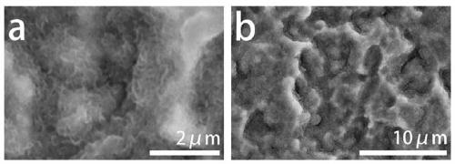 Iron-doped molybdenum disulfide coating material and preparation method and application thereof