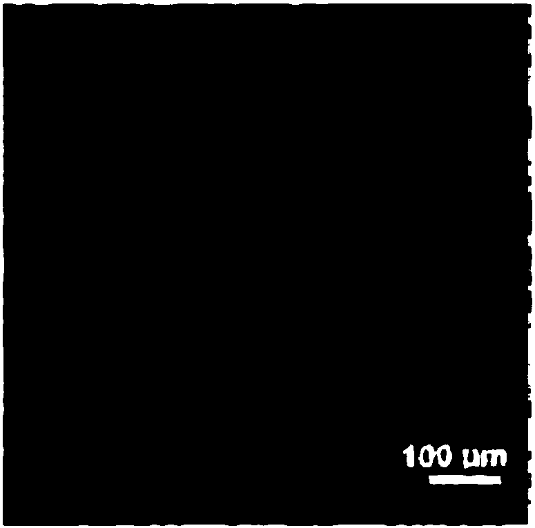 Bioactive polysaccharose dressing for wound restoration as well as preparation method and application thereof