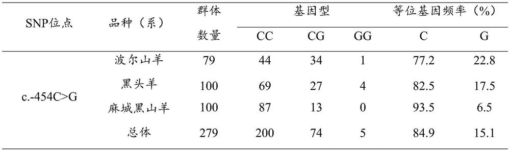 A molecular marker of nfat5 gene related to growth traits of goat and its application