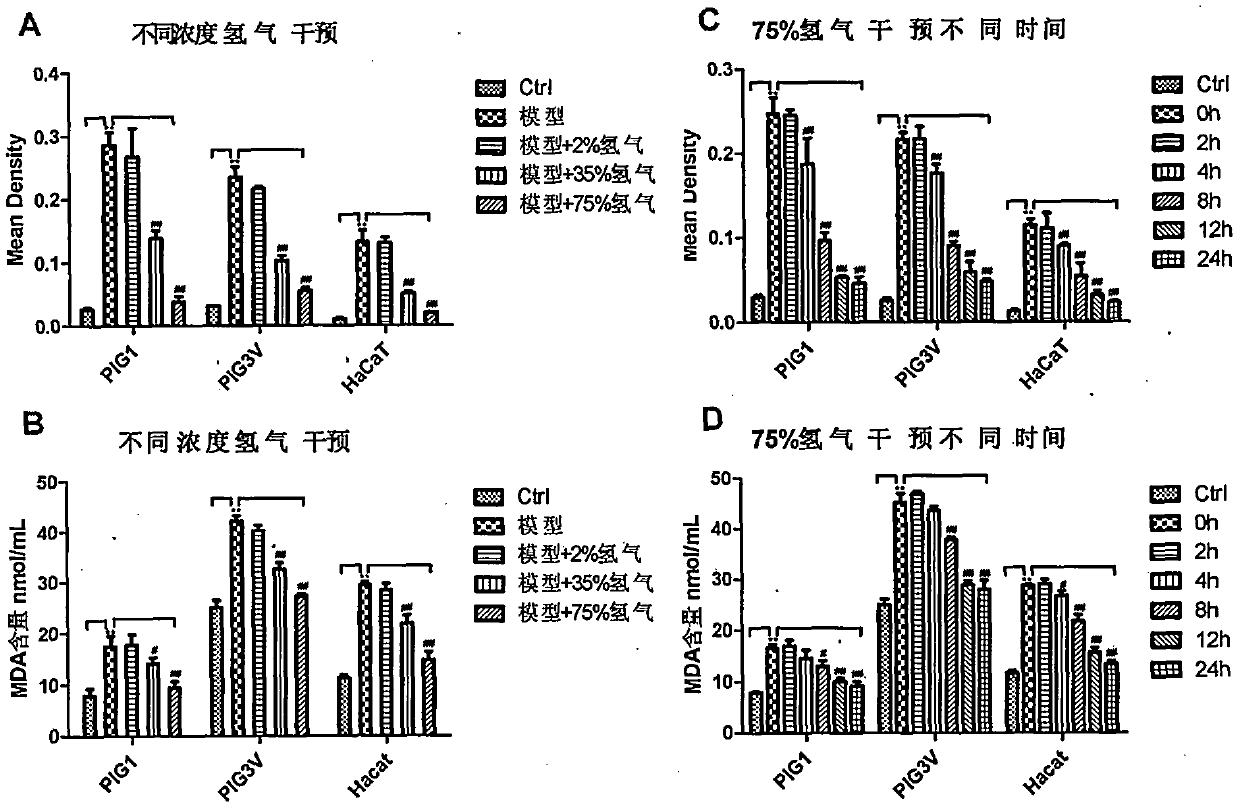 Application of hydrogen to preparing preparation for preventing and curing leucoderma