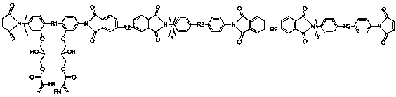 A kind of fast photocurable polyimide oligomer and its preparation method and application