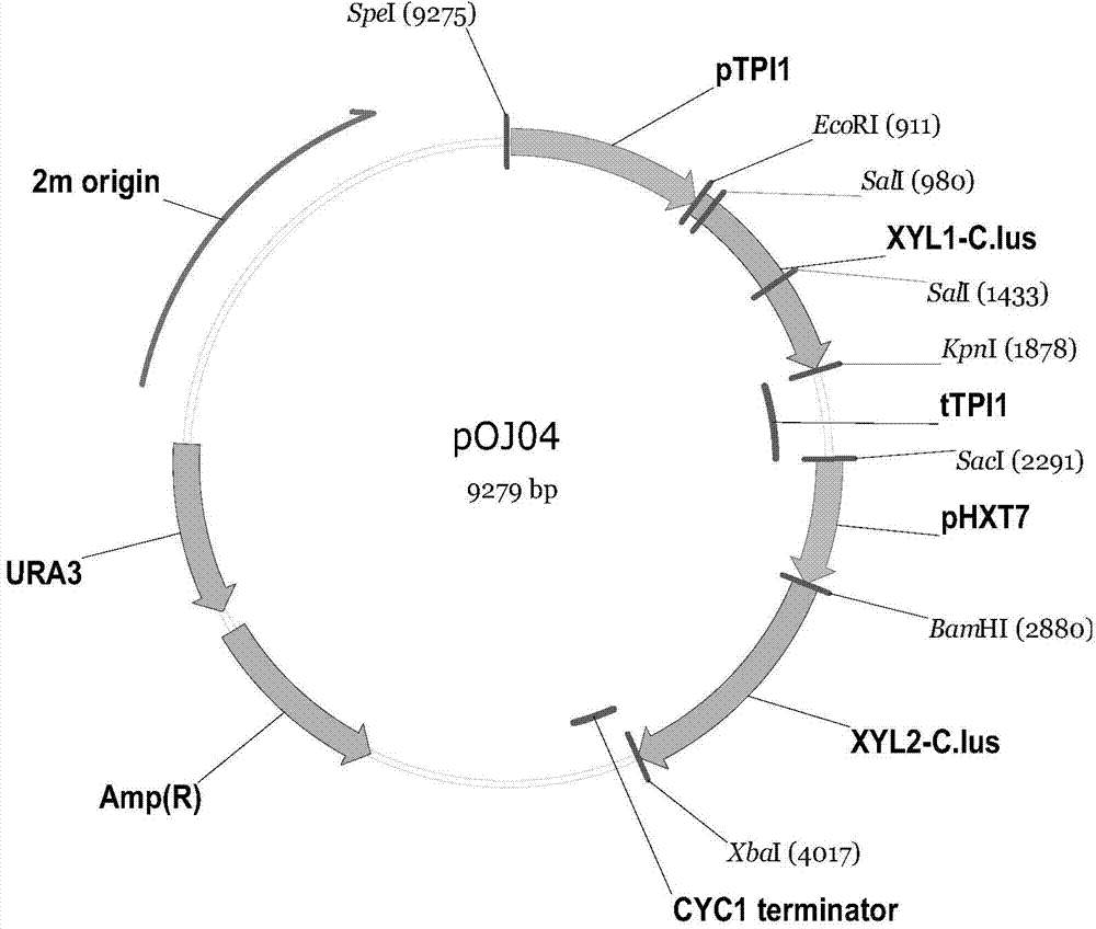 Saccharomyces cerevisiae engineering bacterium for performing alcohol fermentation by using xylose, and preparation method and application thereof