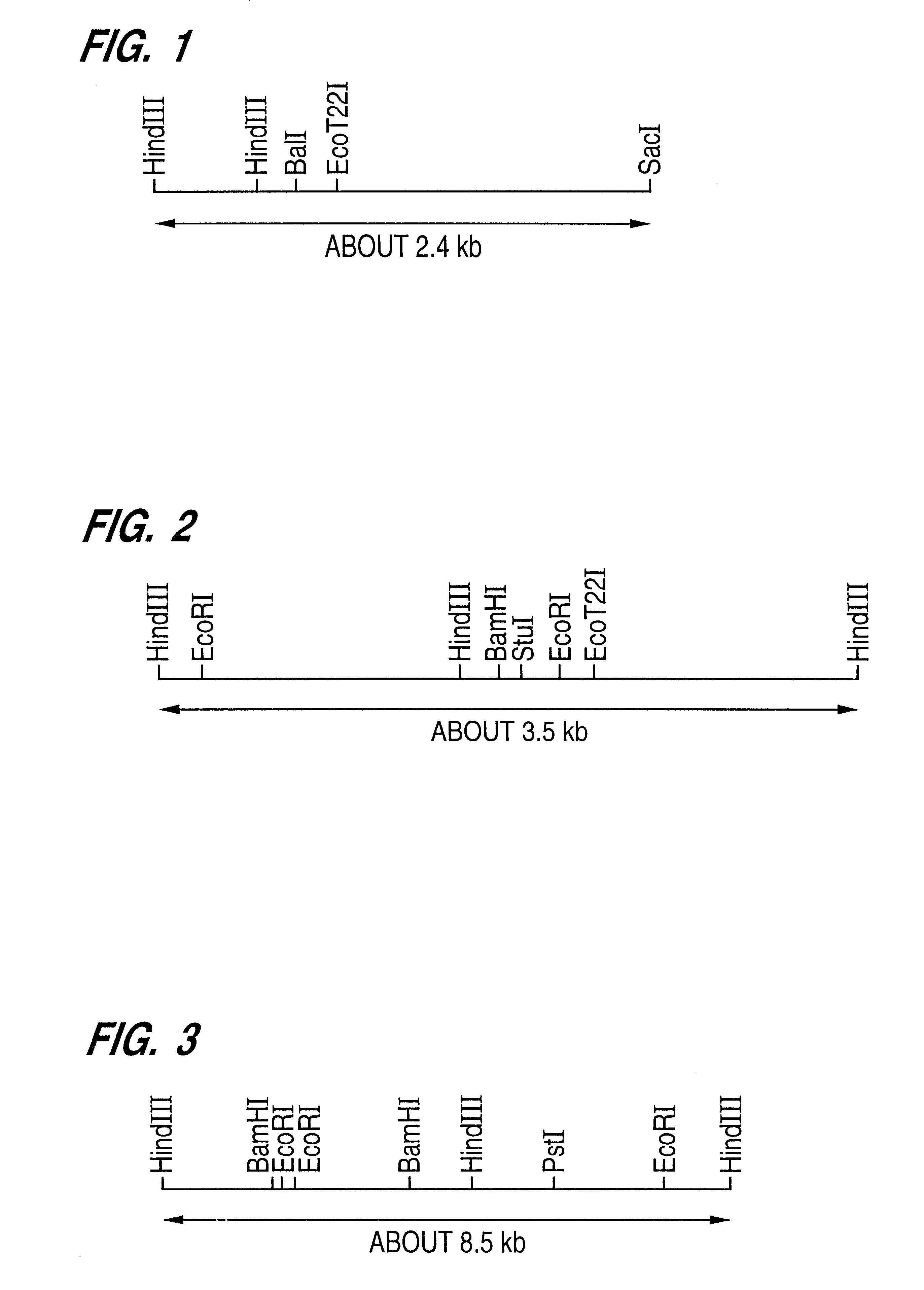 Gene regulating aubeobasidin sensitivity