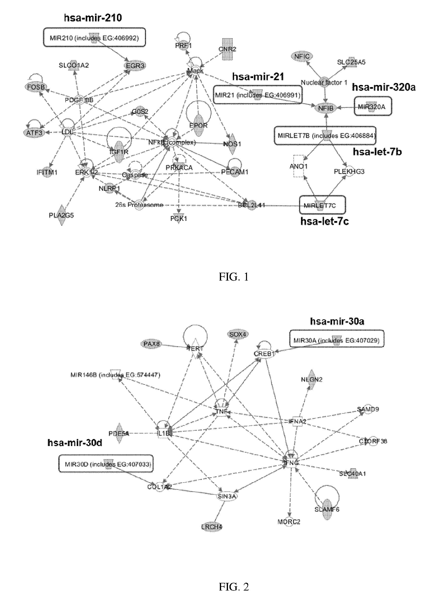 Methods for selecting competent oocytes and competent embryos with high potential for pregnancy outcome