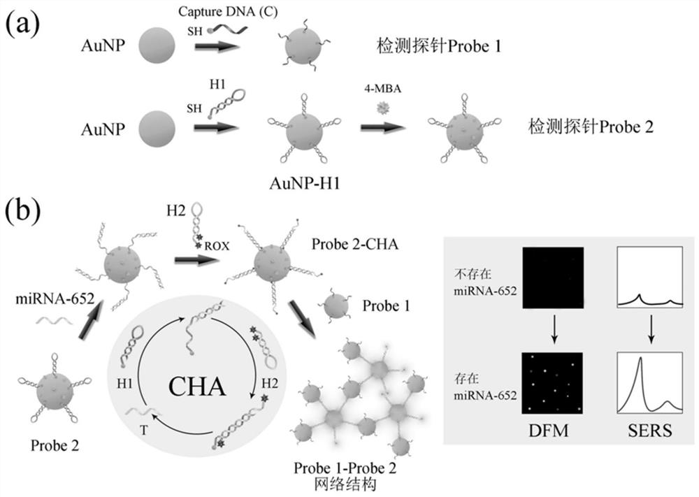 SPR-SERS dual-mode sensor for detecting disease nucleic acid markers as well as preparation method and application of SPR-SERS dual-mode sensor