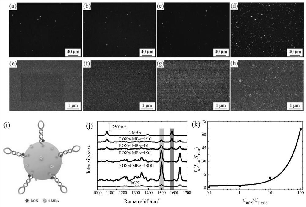 SPR-SERS dual-mode sensor for detecting disease nucleic acid markers as well as preparation method and application of SPR-SERS dual-mode sensor