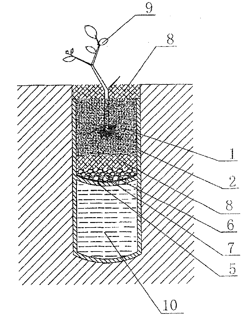 Method for improving drought resistance of plant growing on tail slag