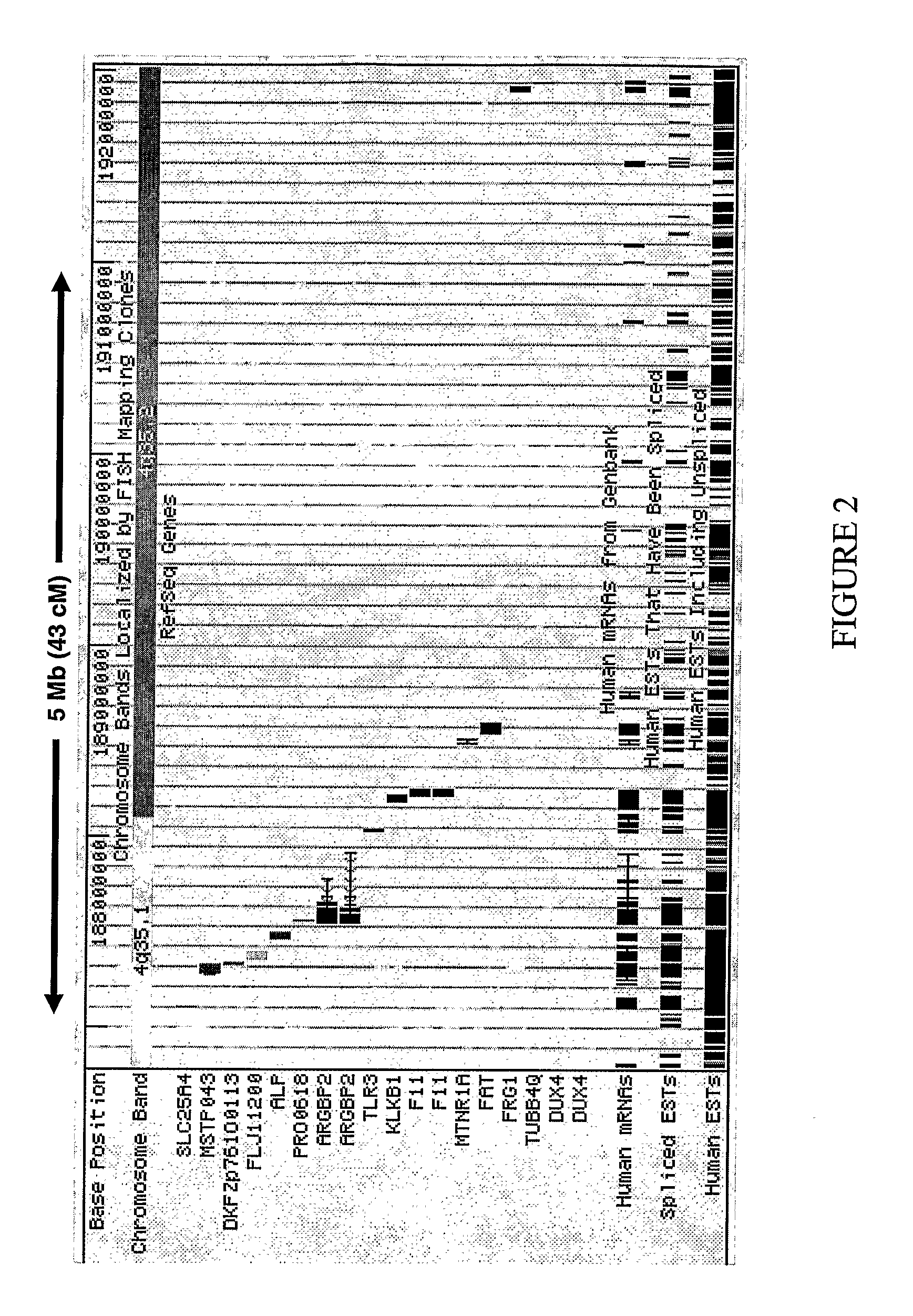 Assay For Bipolar Affective Disorder