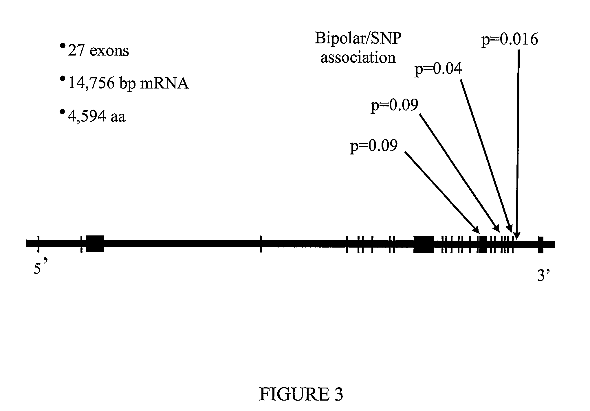 Assay For Bipolar Affective Disorder