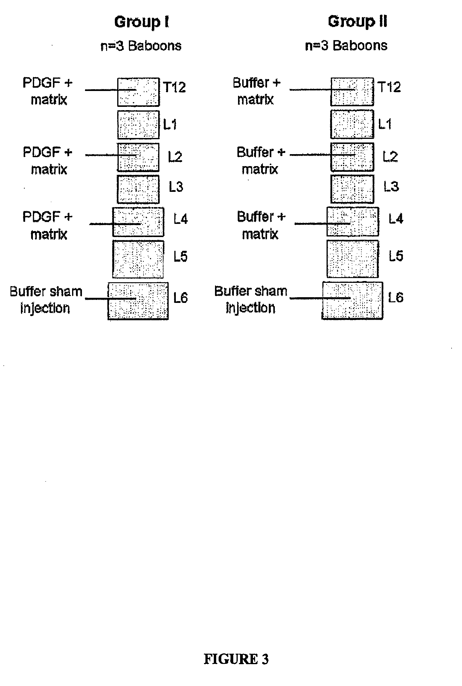 Compositions and methods for treating the vertebral column