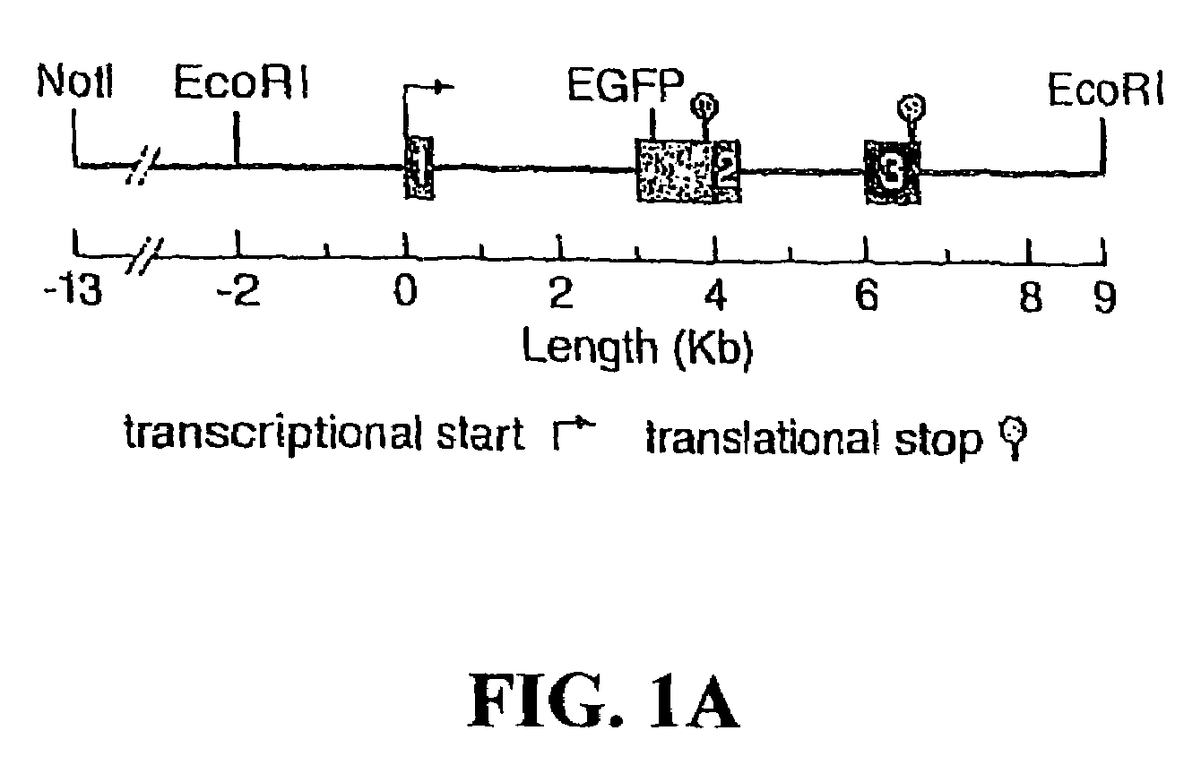 Modification of feeding behavior