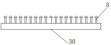 Self-adhesive label coating device