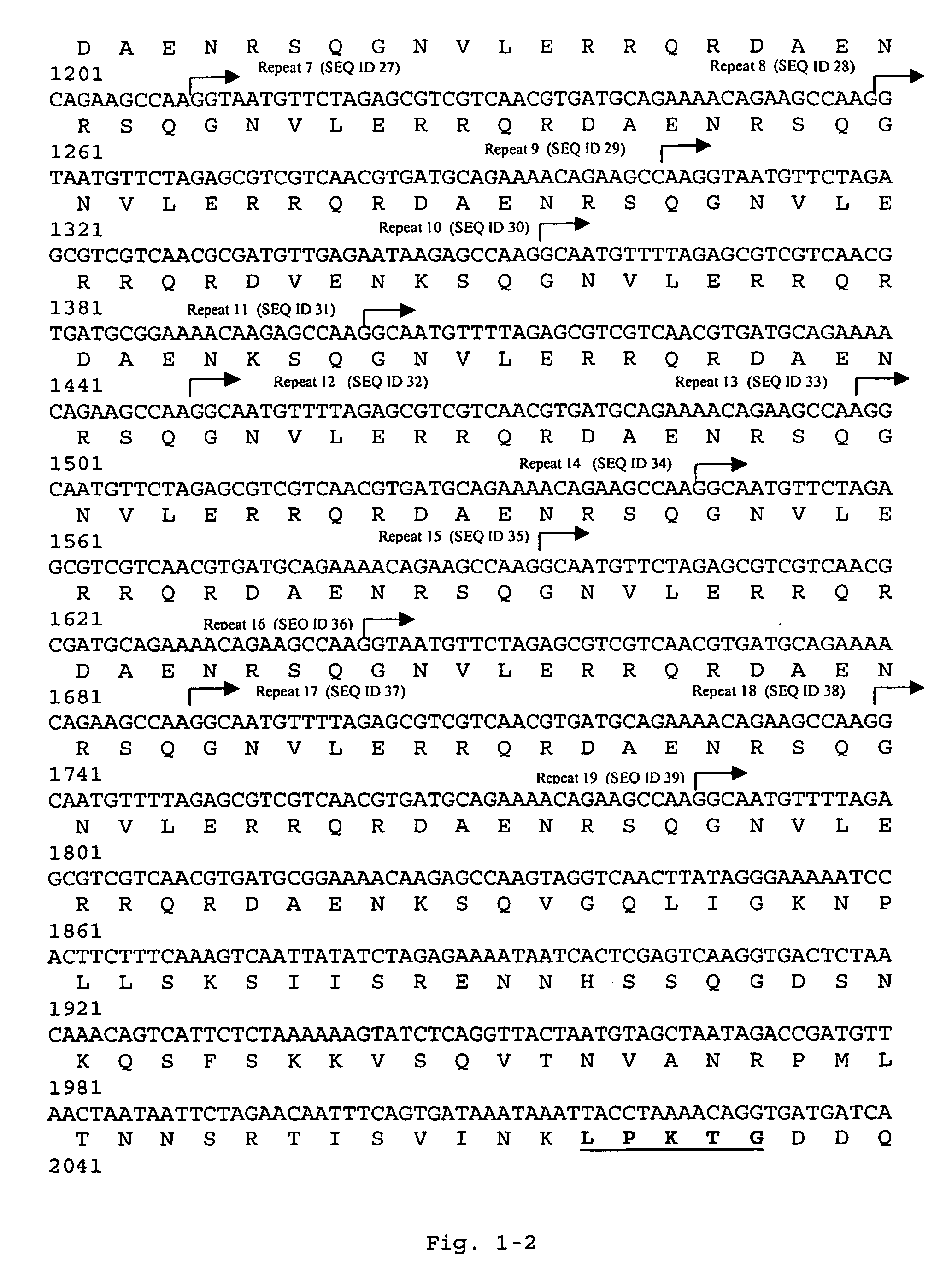 Nucleic acids coding for adhesion factor of group B <i>streptococcus</i>, adhesion factors of group B <i>streptococcus </i>and further uses thereof