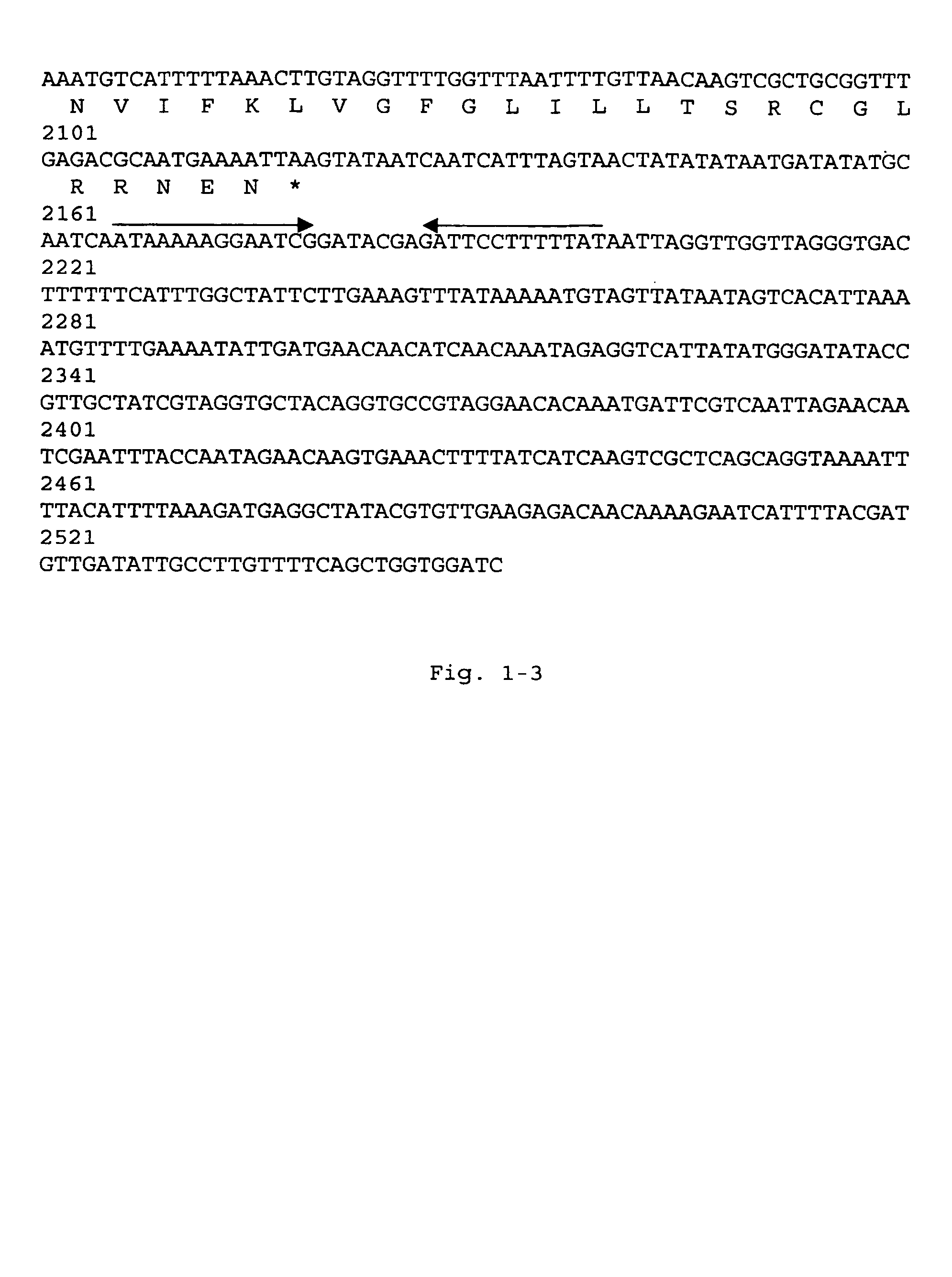 Nucleic acids coding for adhesion factor of group B <i>streptococcus</i>, adhesion factors of group B <i>streptococcus </i>and further uses thereof