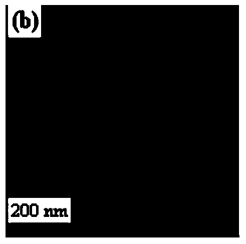 Hollow carbon nanosphere material and preparation method thereof