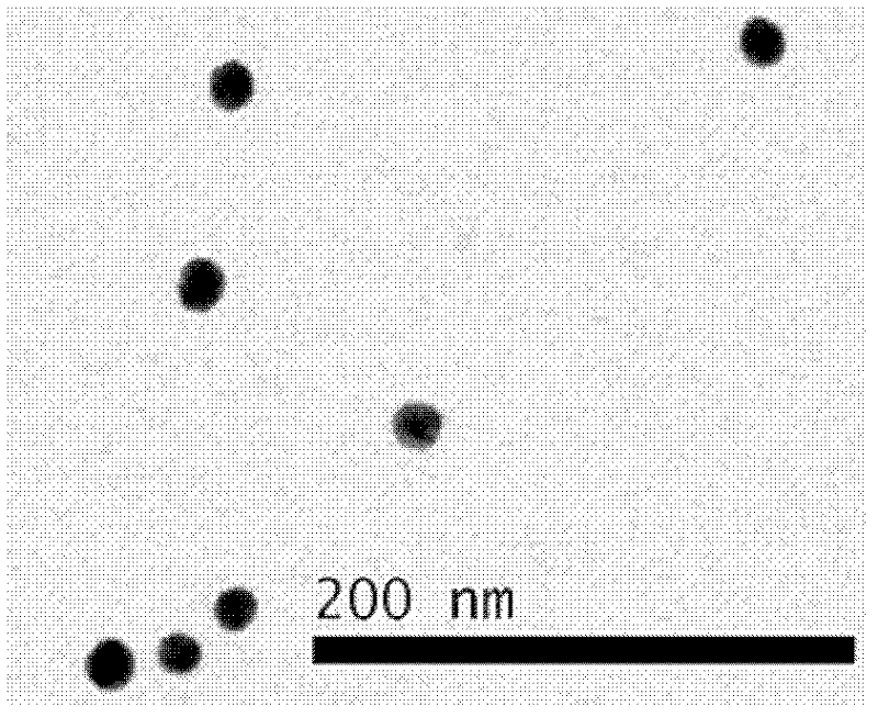 Nanometer immunogold labeling probe for detecting peste des petits ruminants virus (PPRV) and detection kit