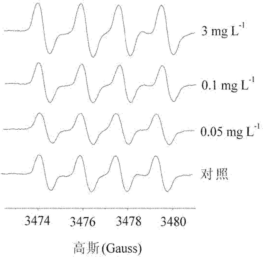 Method for measuring superoxide anion radicals in tape grass leaves