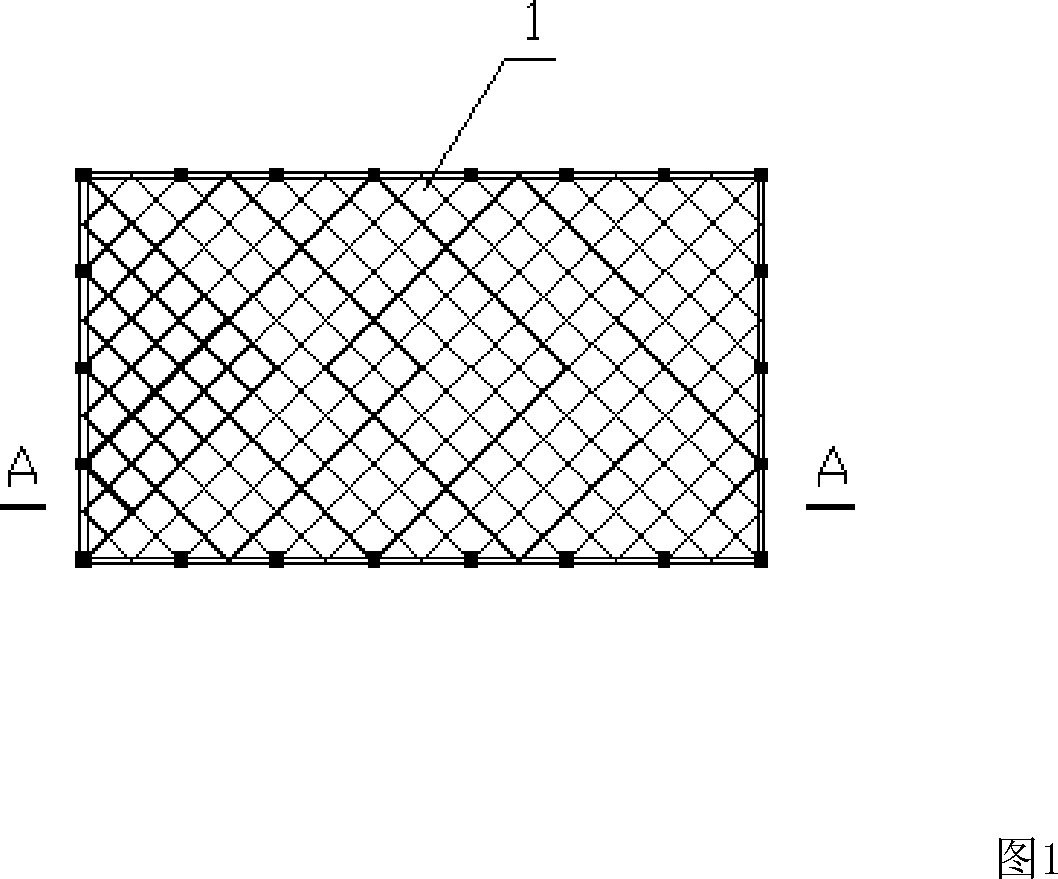 Oblique crossing inclined grid steel-concrete hollow sandwich mesh-like wagon shell and arched roof structure