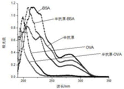 A kind of immunoassay method for sildenafil and structural analog thereof