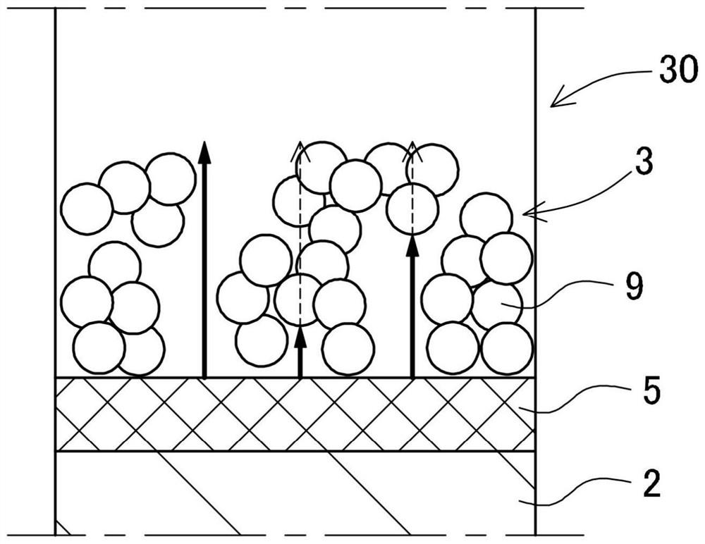 Wavelength conversion member and method for manufacturing the same