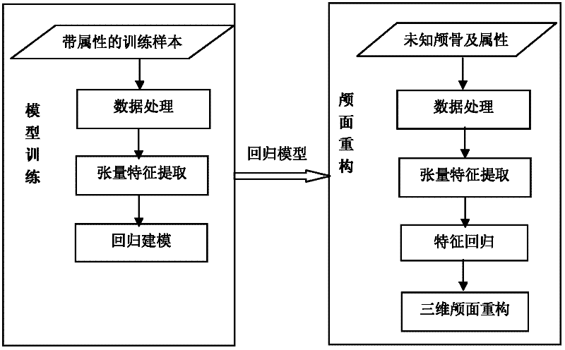 Partial least squares recursive craniofacial reconstruction method based on tensor space