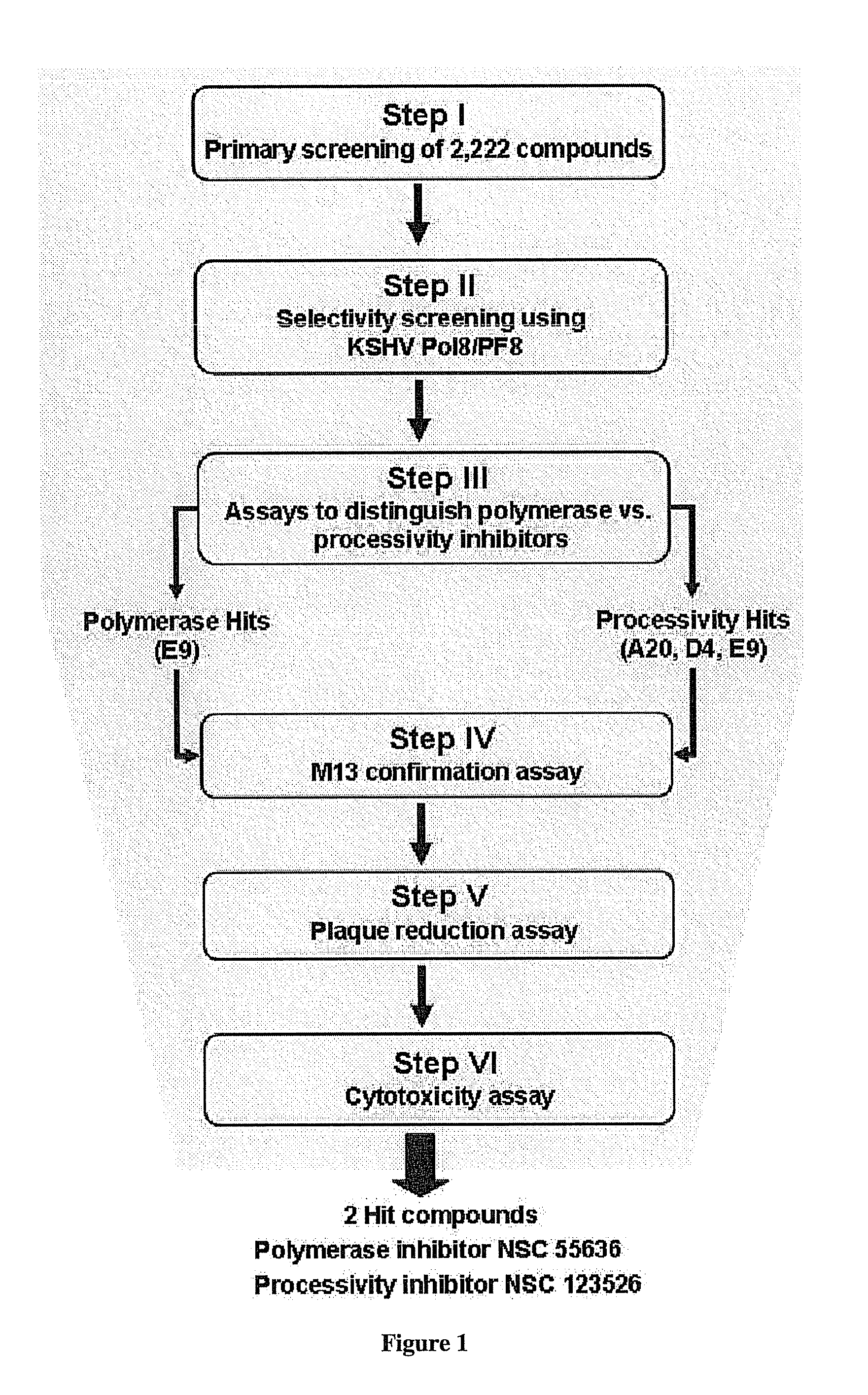 Therapeutic compounds for blocking DNA synthesis of pox viruses