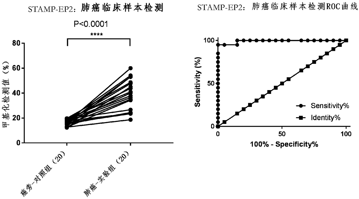 Tumor marker STAMP-EP2 based on methylated modification