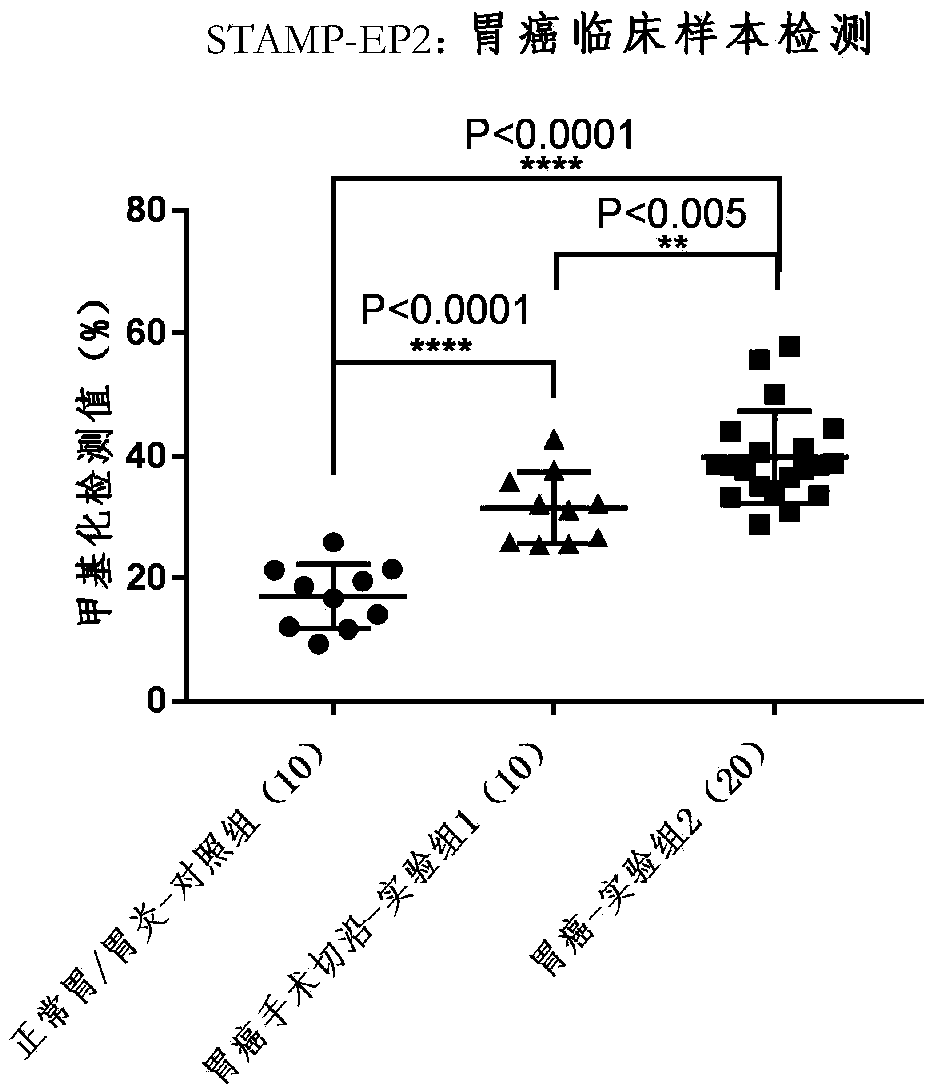 Tumor marker STAMP-EP2 based on methylated modification