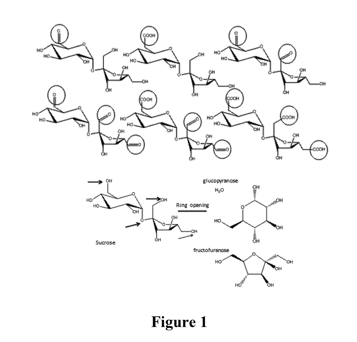 Green technology for crosslinking protein molecules for various uses