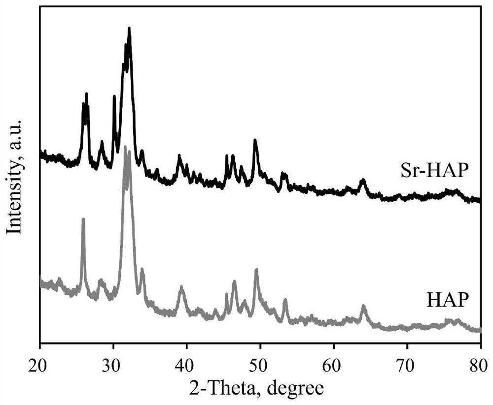 Strontium modified hydroxyapatite as well as synthesis and application methods thereof