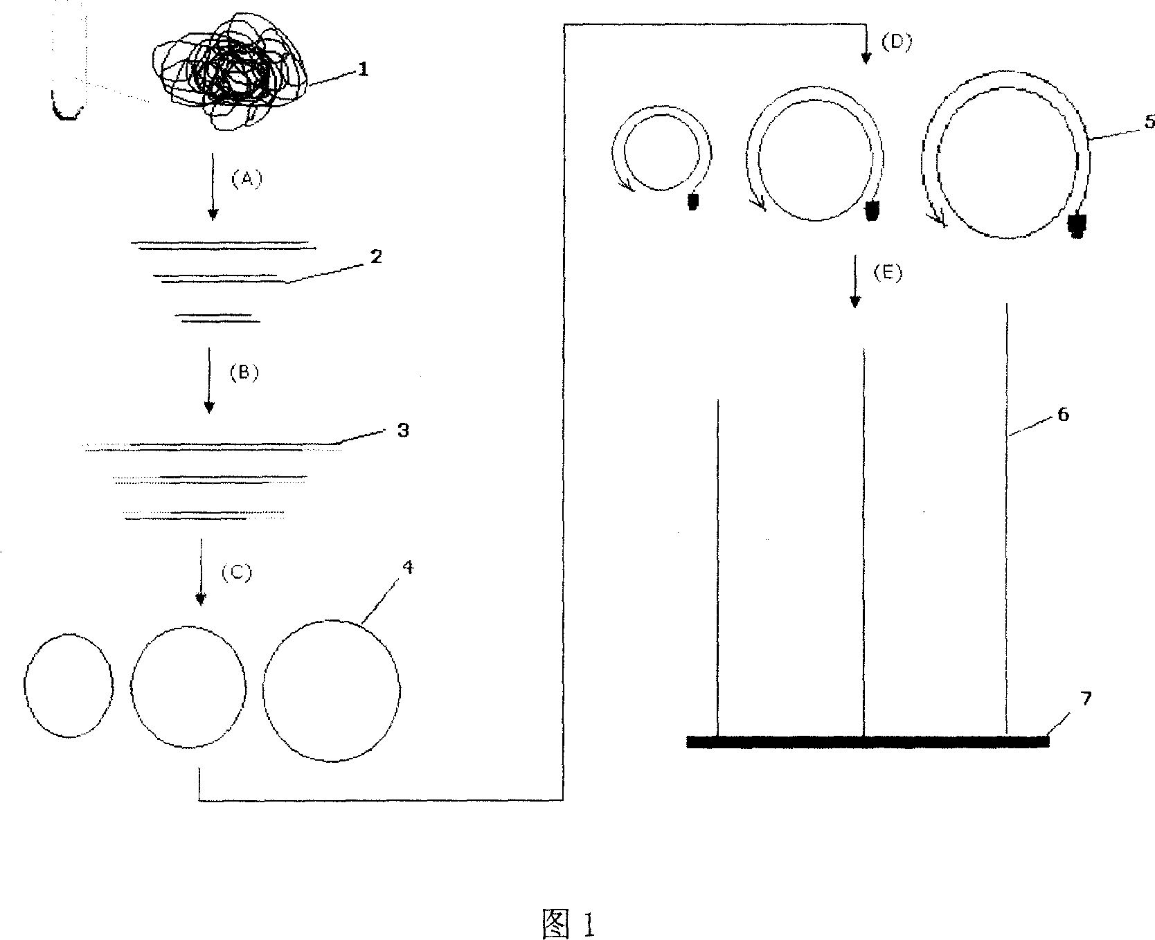 Full genome rolling circle amplification and its product fixing method